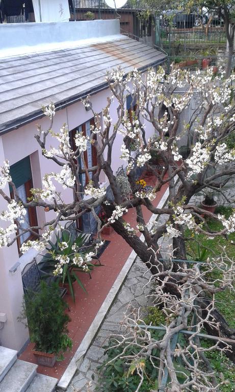 Casa Tra Il Verde E Il Blu Genua Zewnętrze zdjęcie